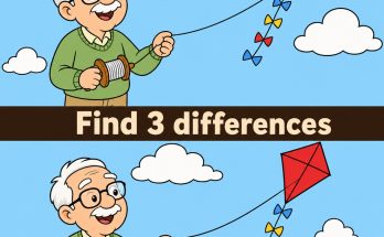 Find the 3 Differences: Kite Puzzle Answer
