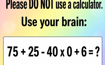 Answer: Please Do Not Use a Calculator Math Puzzle