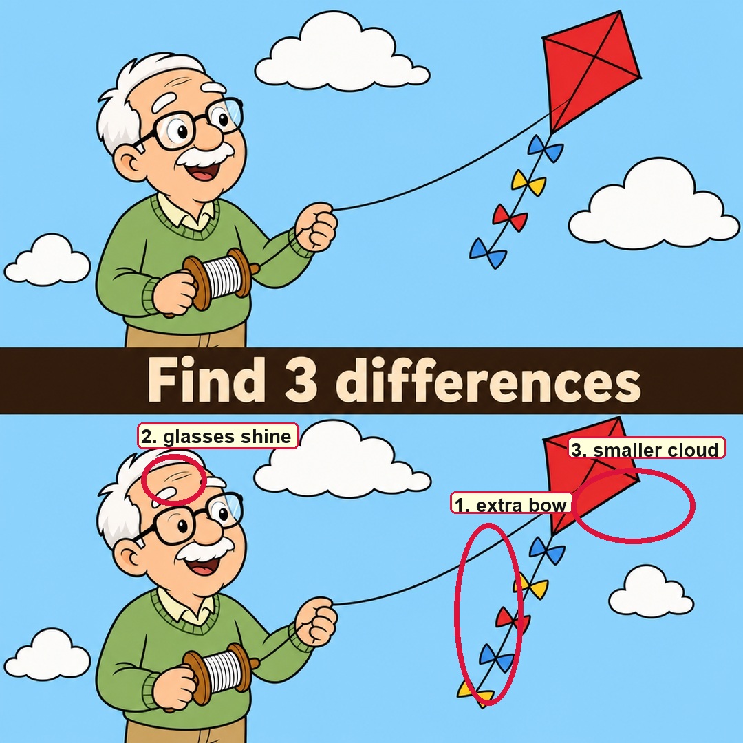 Find the 3 differences answer image