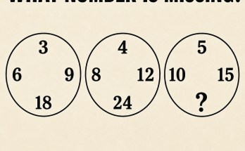 Answer: What Number Is Missing in the Circle Puzzle?