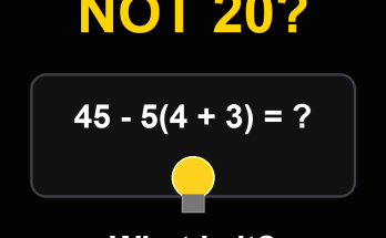 Answer: The Answer Is Not What You Think