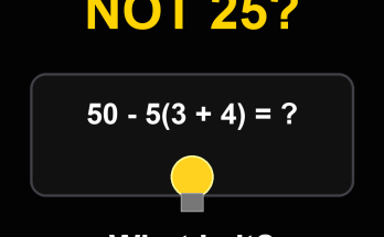 Answer: The Answer Is Not What You Think