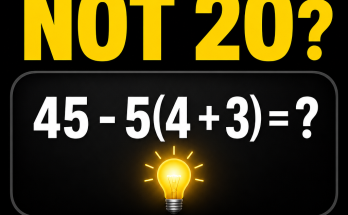 Answer: The Answer Is Not 20 Math Puzzle