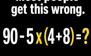 Most People Get This Math Puzzle Wrong: Answer