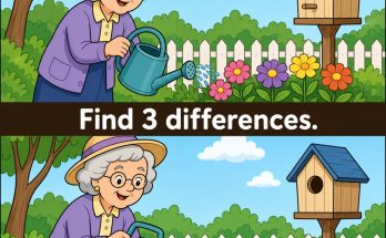 Find the 3 Differences: Garden Puzzle Answer