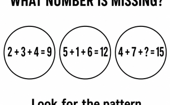 Answer: What Number Is Missing in the Circle Pattern?