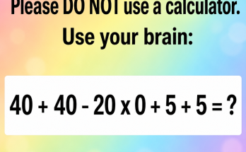 Answer: Please Do Not Use a Calculator Brain Math Puzzle