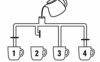 Answer: Which Cup Fills First Coffee Puzzle