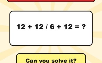 Answer: 12 + 12 / 6 + 12