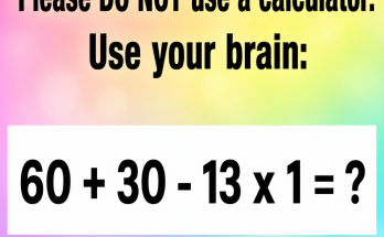 Answer: Please Do Not Use a Calculator Math Puzzle