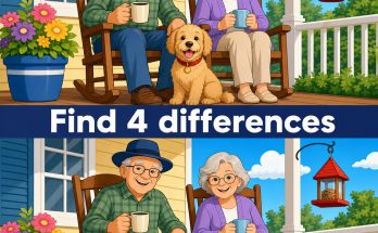 Find the 4 Differences: Porch Puzzle Answer