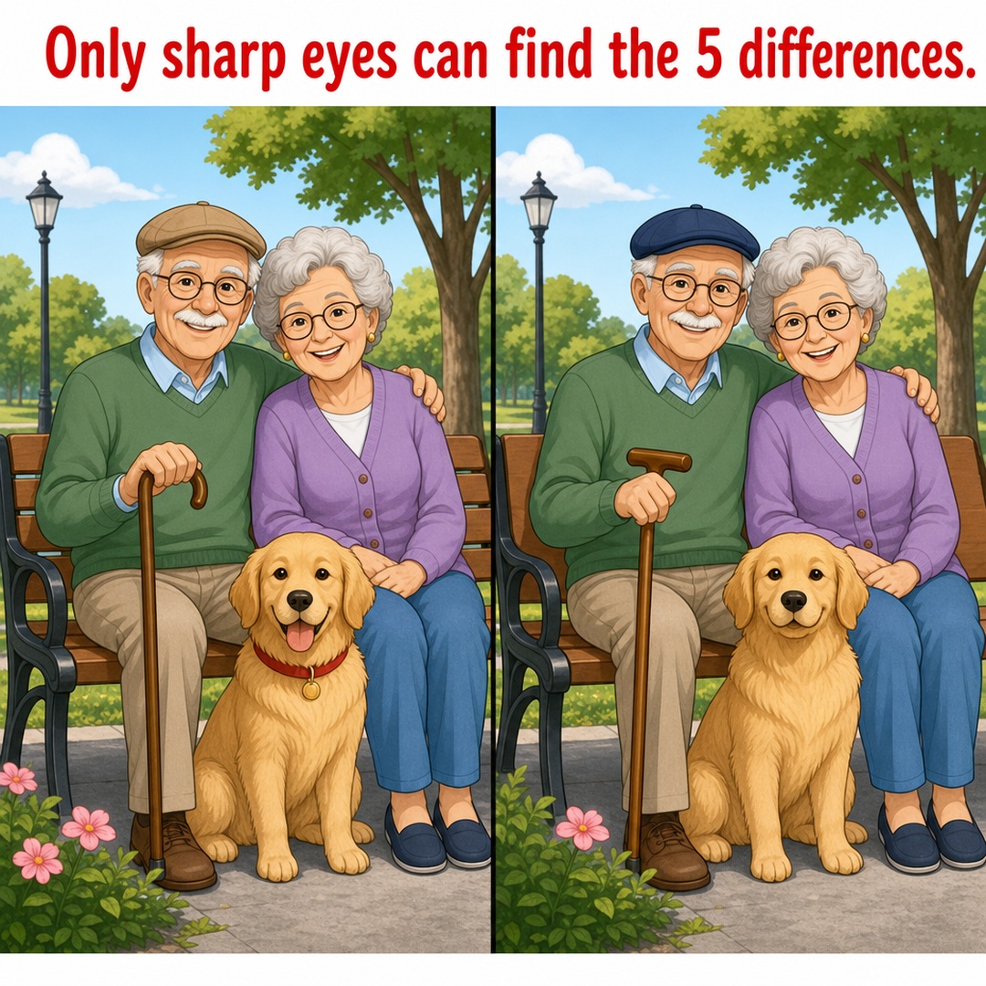 Find the 5 Differences: Couple and Dog Puzzle Answer