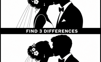 Find the 3 Differences: Wedding Silhouette Answer