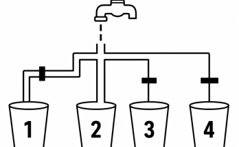 Answer: Which Glass Fills First Water Puzzle