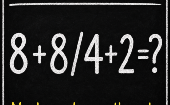 Please Do Not Use a Calculator: Division Puzzle Answer