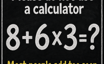 Please Do Not Use a Calculator: Math Puzzle Answer