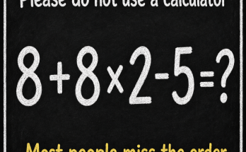 Please Do Not Use a Calculator: Math Puzzle Answer