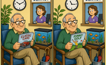 Find the 5 Differences: Dentist Waiting Room Puzzle Answer