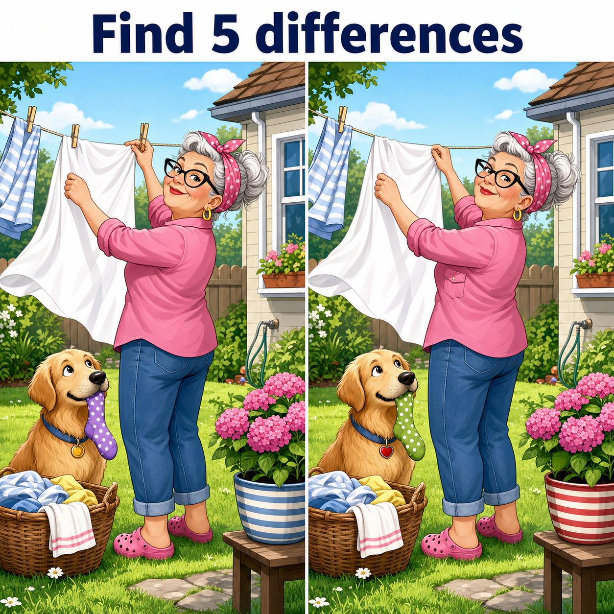 Find the 5 Differences: Laundry Day Puzzle Answer
