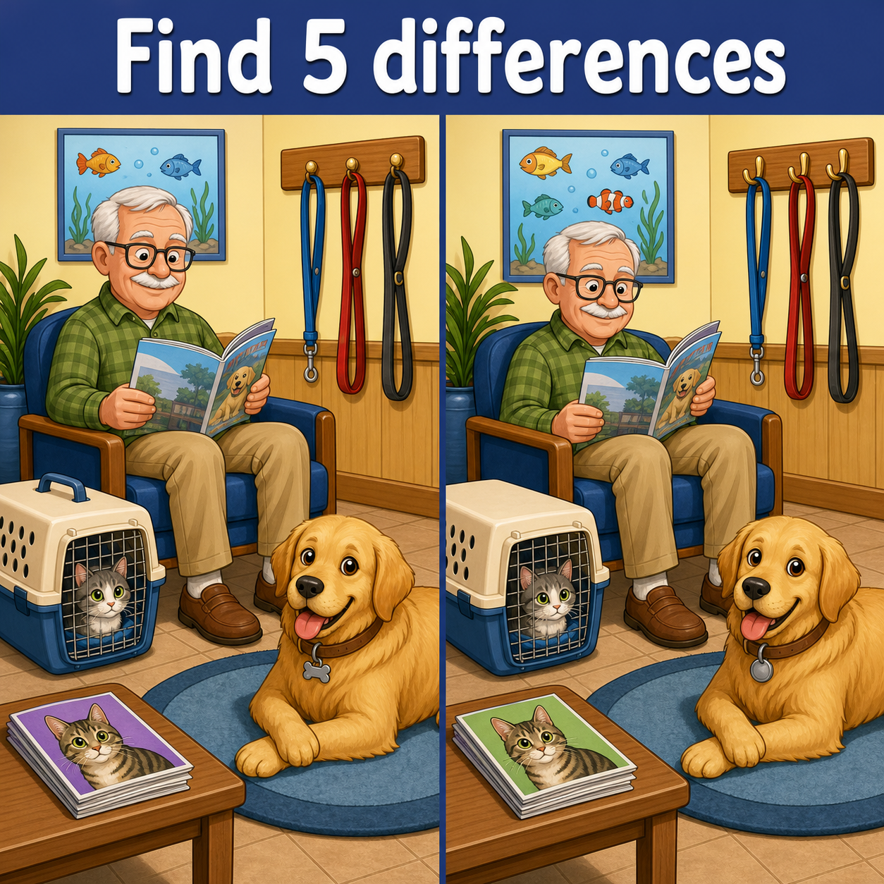 Find the 5 Differences: Vet Waiting Room Puzzle Answer