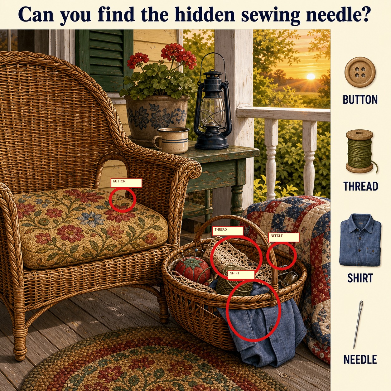 Can You Find the Hidden Sewing Needle? answer image