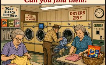 Three Things Are Wrong in This Old Laundromat: Answer