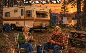Two Things Are Wrong at This Old RV Campground: Answer
