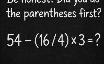 Be Honest: Parentheses Math Puzzle Answer