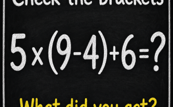 Do Not Answer Until You Check the Brackets: Math Puzzle Answer