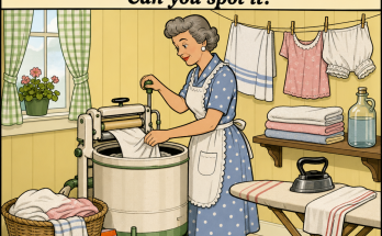 Something Is Wrong in This 1950s Laundry Room: Answer