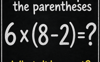 Do Not Skip the Parentheses: Math Puzzle Answer