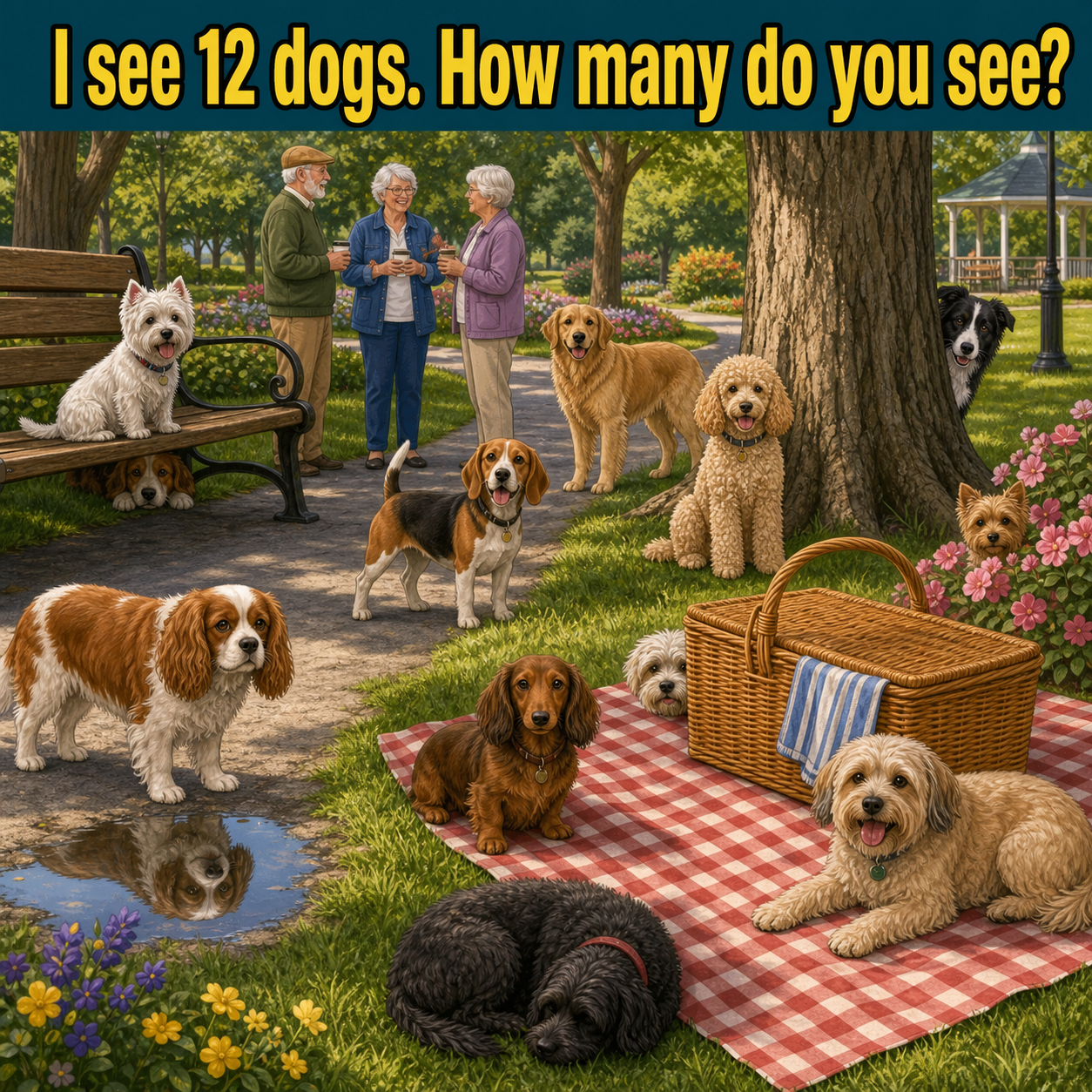 How Many Dogs Are in the Park? Answer