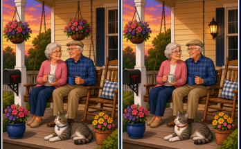 Find the 3 Differences: Front Porch Puzzle Answer