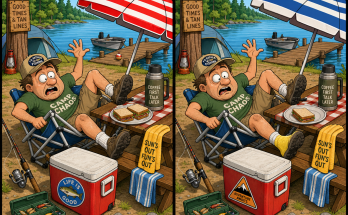Find the 5 Differences: Funny Campground Puzzle Answer