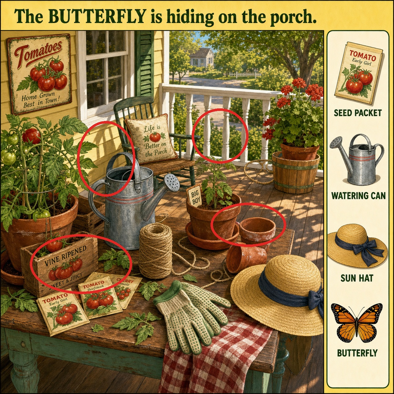 Can You Find the Butterfly on the Porch? answer image
