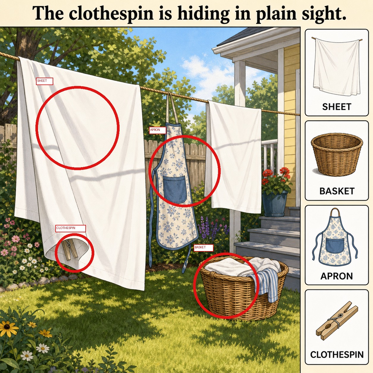 Can You Find the Hidden Clothespin on the Clothesline? answer image