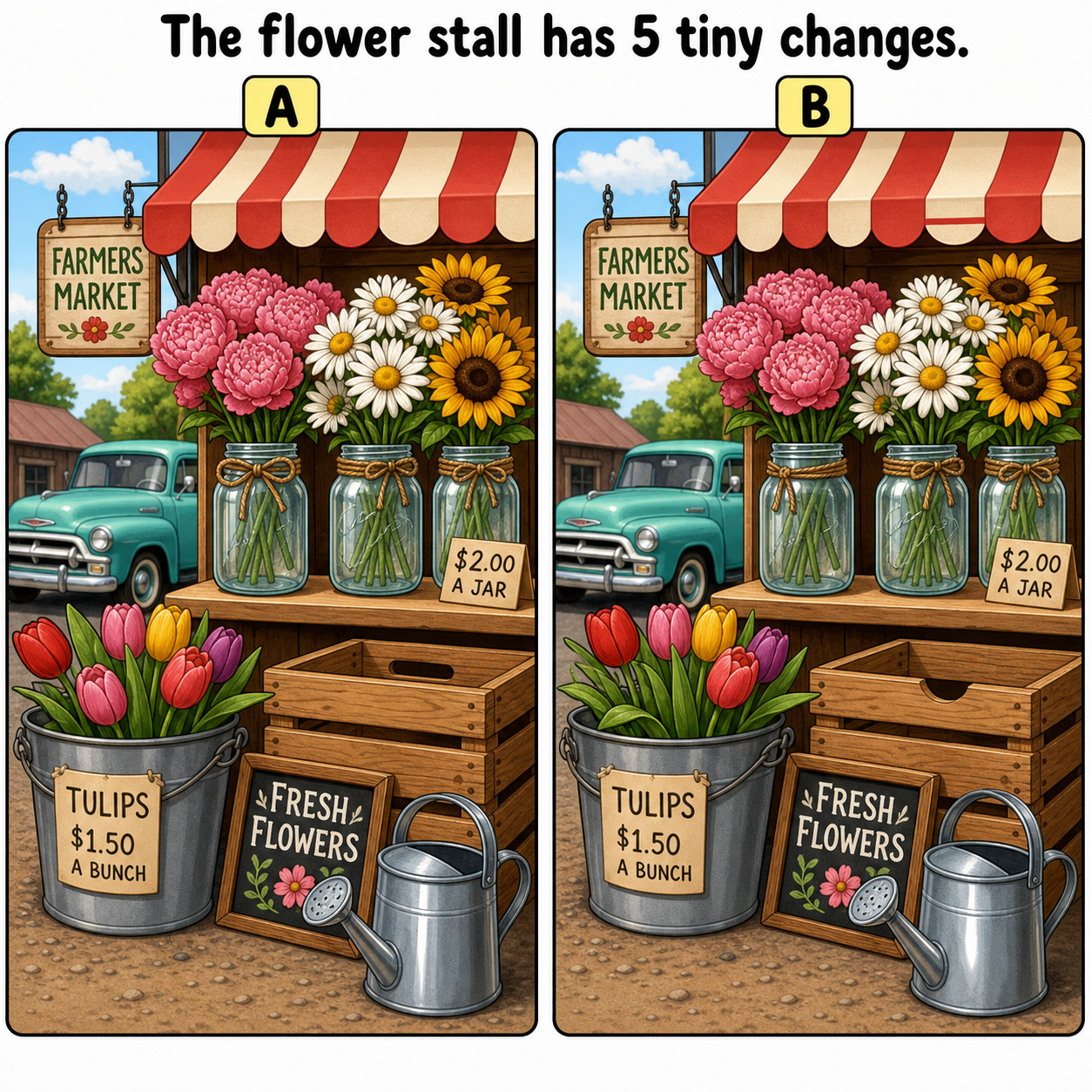 The Flower Stall Has 5 Tiny Changes: Answer