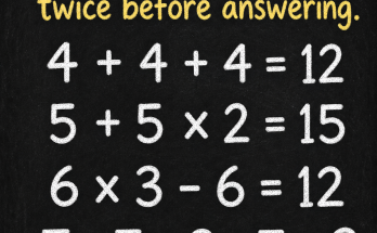 Read the Last Line Twice Before Answering: Math Puzzle Answer