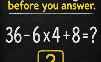 Read the Signs Before You Answer This Math Puzzle
