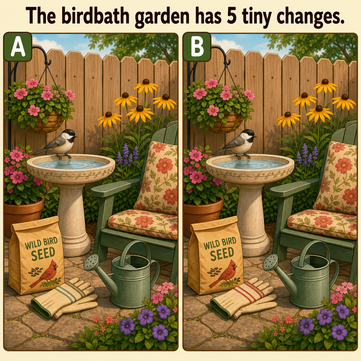 The Birdbath Garden Has 5 Tiny Changes: Answer