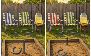 The Horseshoe Game Has 5 Tiny Changes: Answer