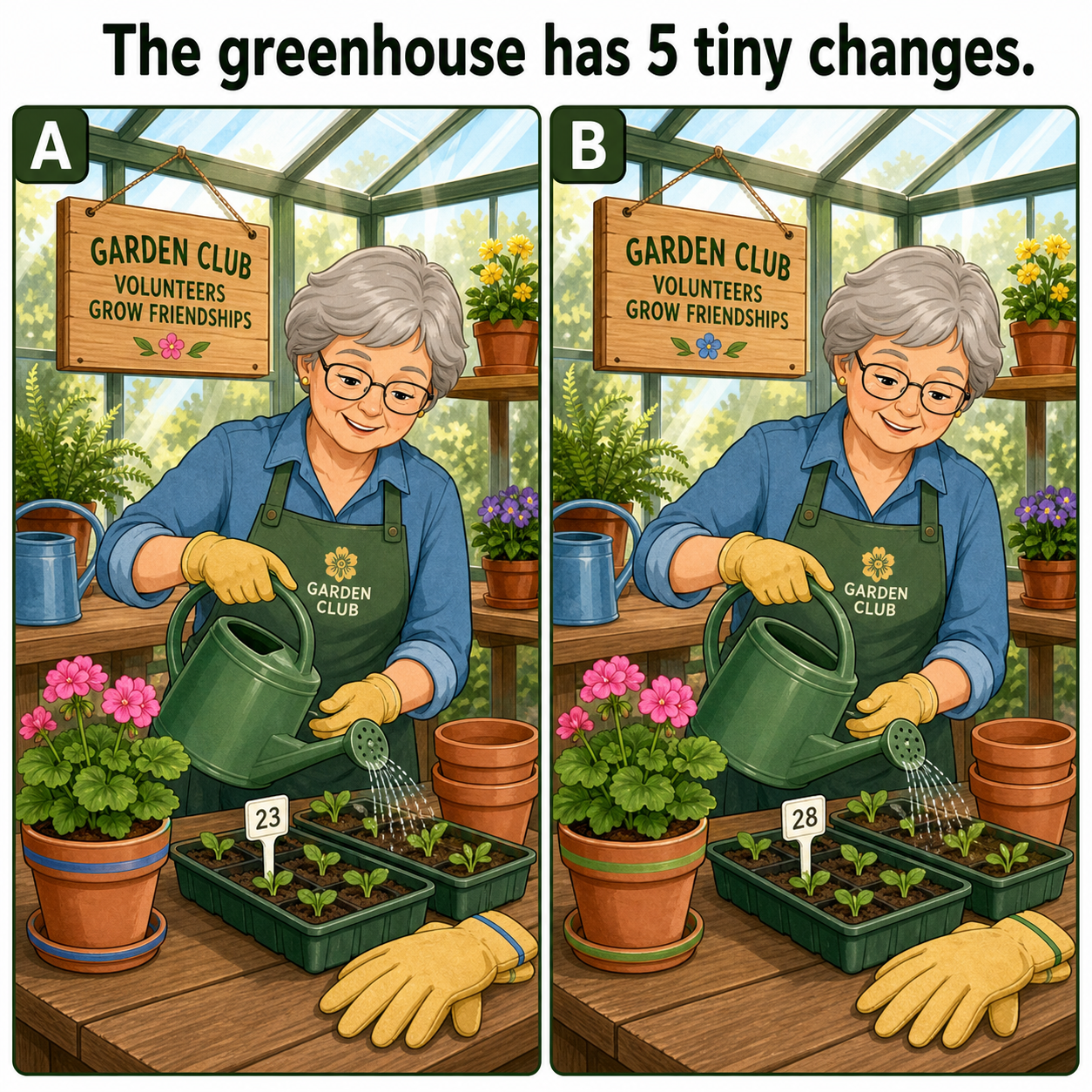 The Greenhouse Has 5 Tiny Changes: Answer