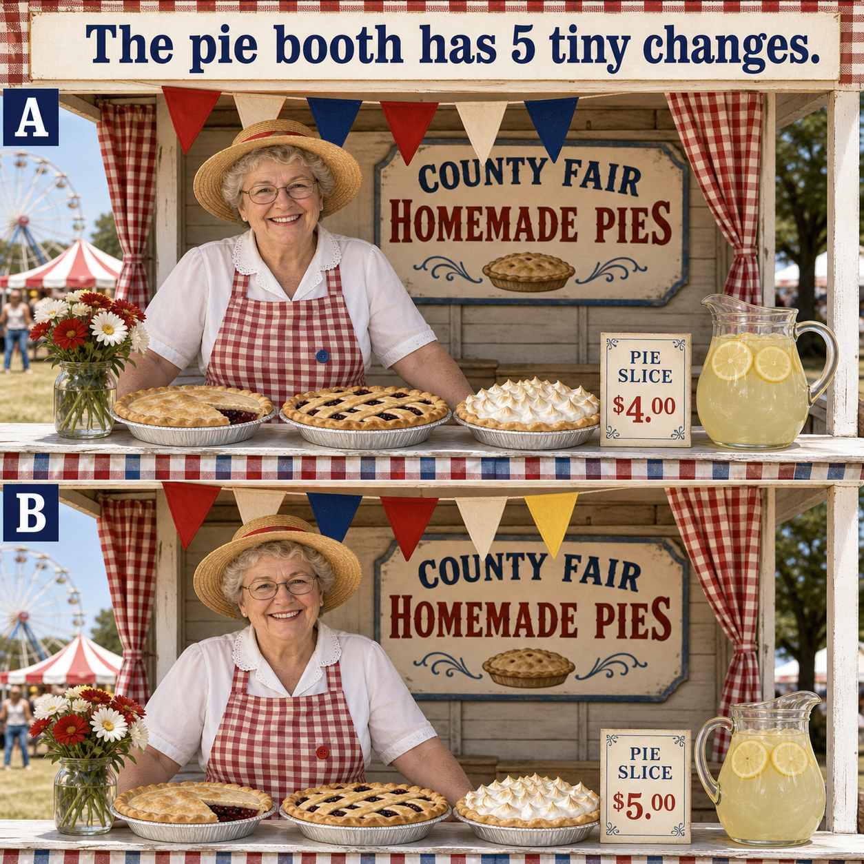 Answer: Five County Fair Differences