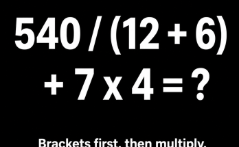 Answer: The Order-of-Operations Math Puzzle