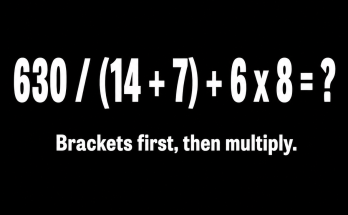 Answer: The Order-of-Operations Math Puzzle