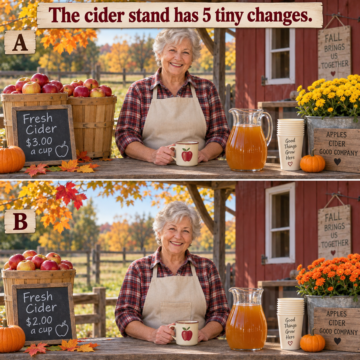 Answer: Five Apple-Cider Stand Differences