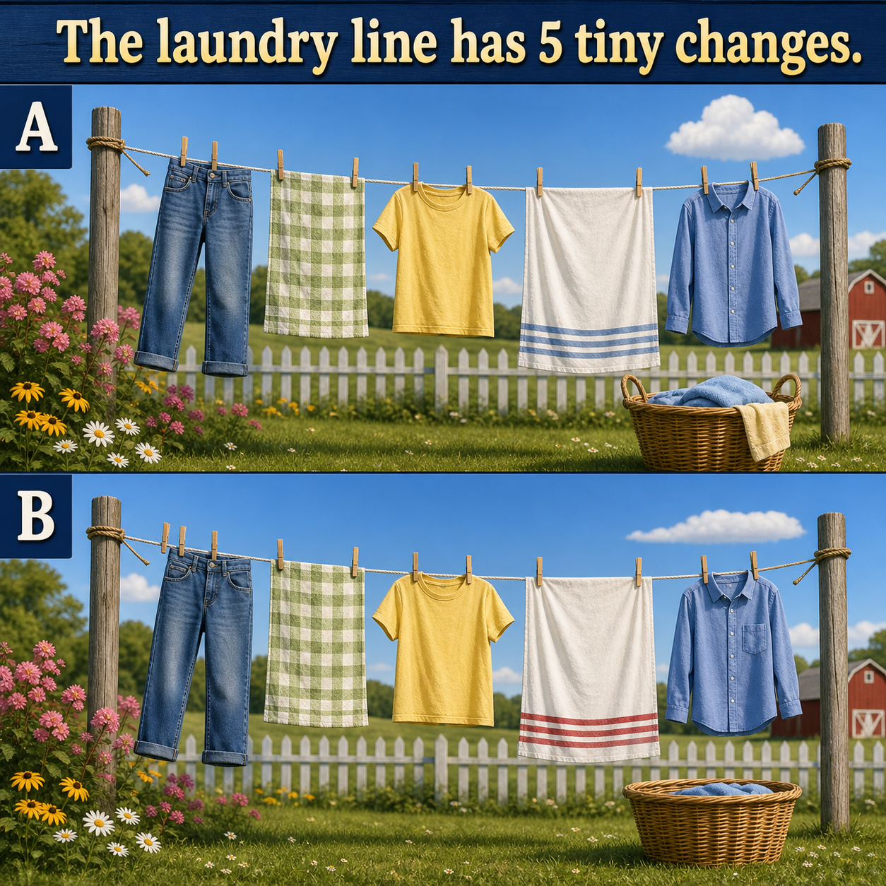 Answer: Five Laundry-Line Differences