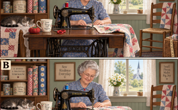Answer: Five Changes in the Sewing Room