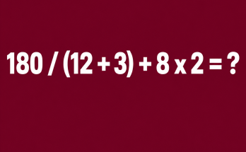 Answer: Order of Operations Math Puzzle