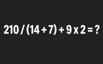 Answer: Order of Operations Math Puzzle